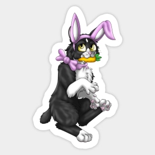 Bobtail BunnyCat: Tuxedo Bicolor (Pink) Sticker